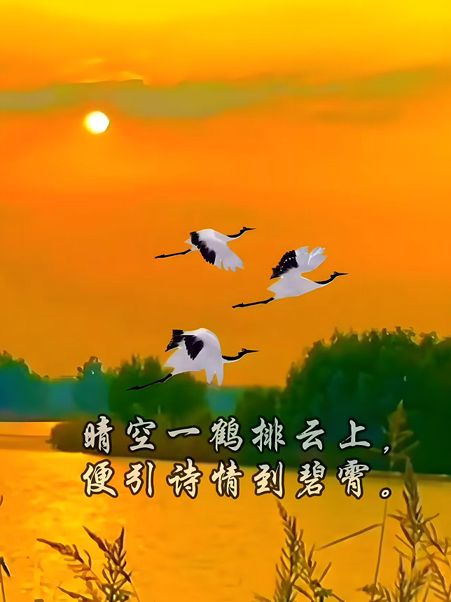 d6d44f28-9c4d-4569-99d3-6fcefbc36f14.png