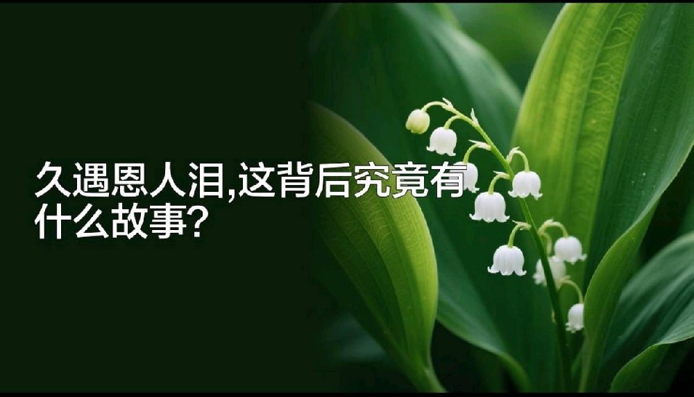 那位法官的一声质问，如“山呼海啸”，让人刻骨铭心
